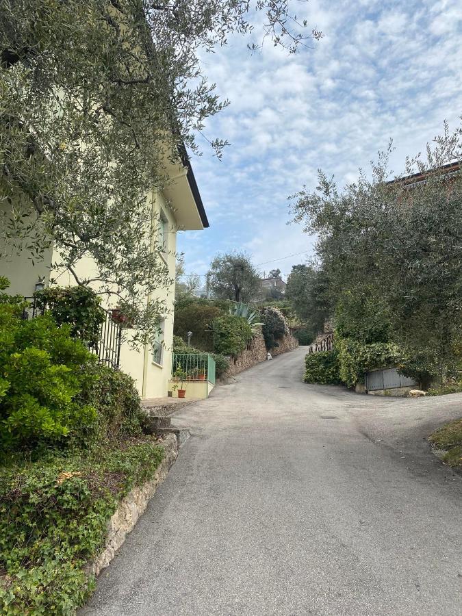 Oleander House Apartments Torri Del Benaco Exterior photo